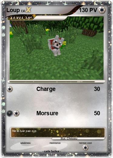 Pokemon Loup