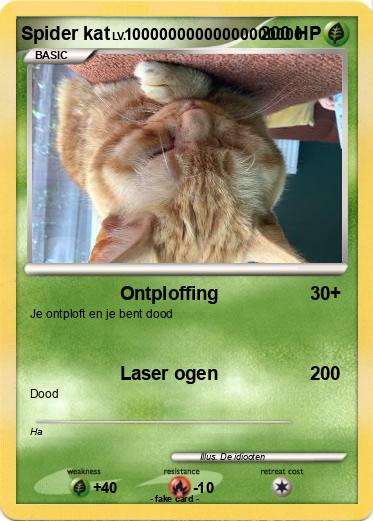Pokemon Spider kat