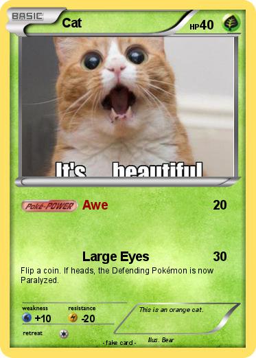 Pokemon Cat