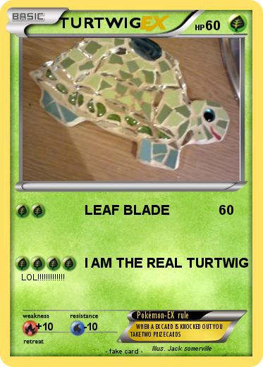 Pokemon TURTWIG