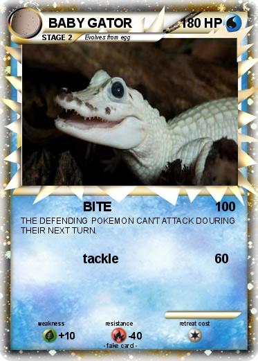 Pokemon BABY GATOR