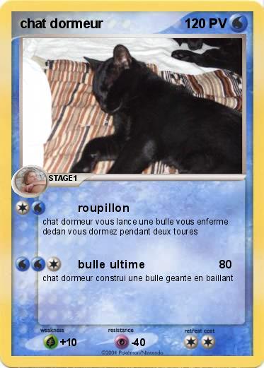 Pokemon chat dormeur