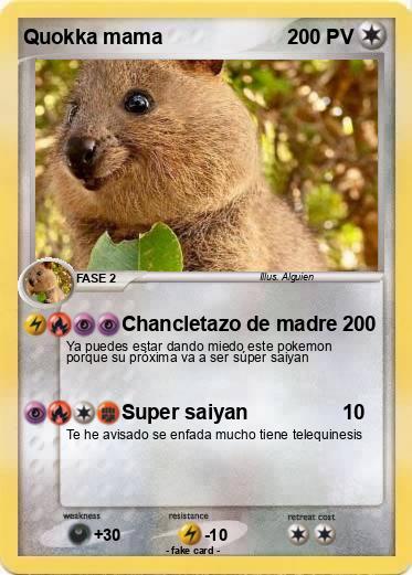 Pokemon Quokka mama