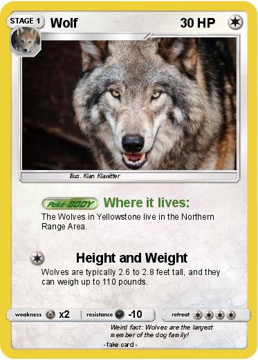 Pokemon Wolf