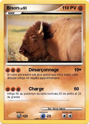 Pokemon Bison