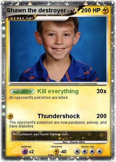 Pokemon Shawn the destroyer