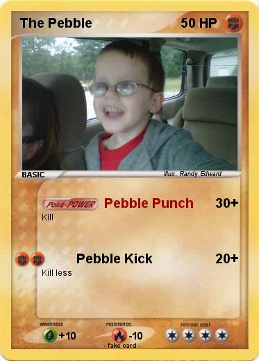 Pokemon The Pebble