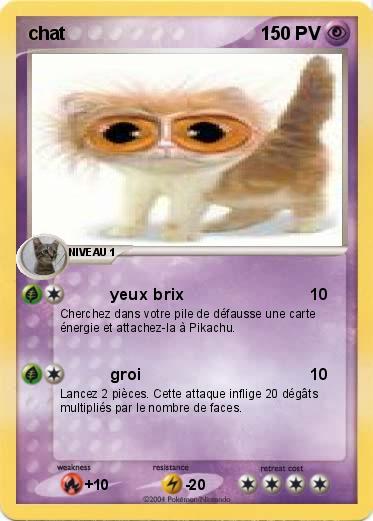 Pokemon chat 