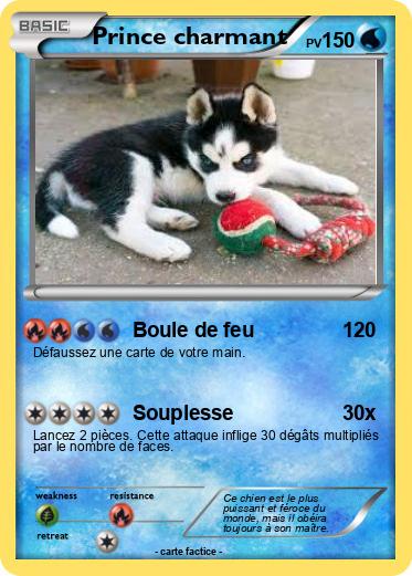 Pokemon Prince charmant