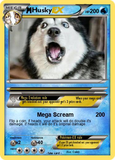 Pokemon Husky