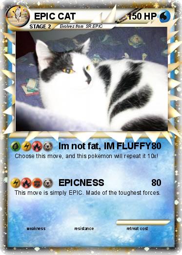Pokemon EPIC CAT