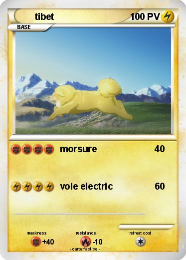 Pokemon tibet