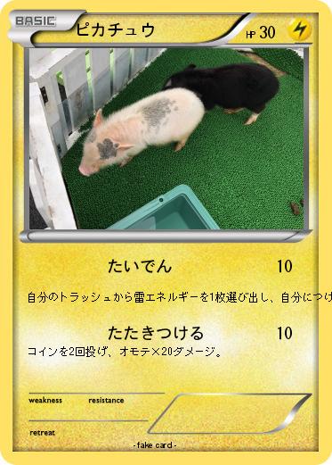 Pokemon ピカチュウ