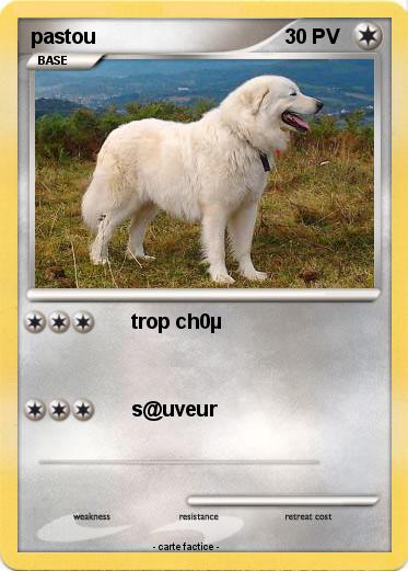 Pokemon pastou