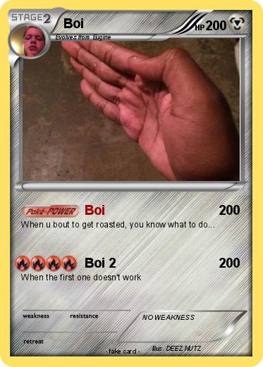 Pokemon Boi