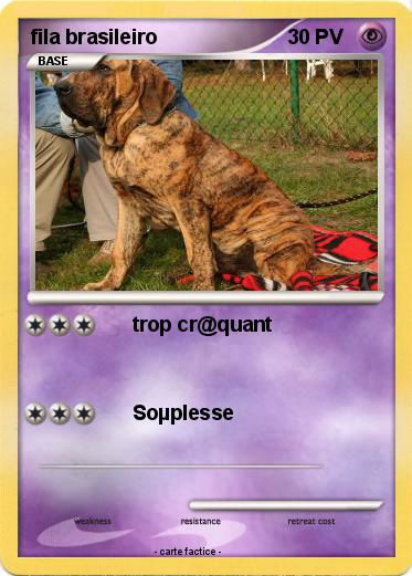 Pokemon fila brasileiro