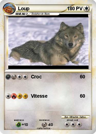 Pokemon Loup