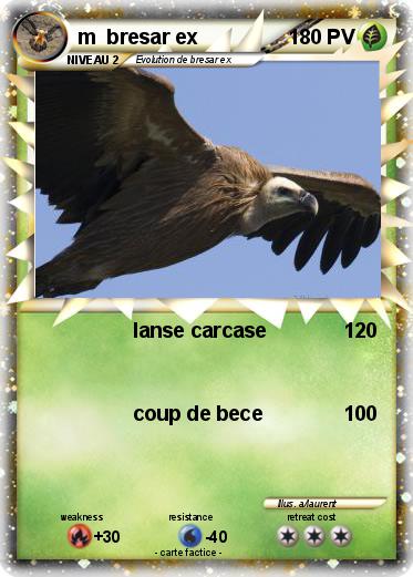 Pokemon m  bresar ex