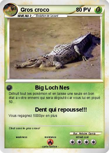 Pokemon Gros croco
