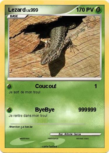 Pokemon Lezard