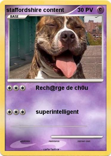 Pokemon staffordshire content