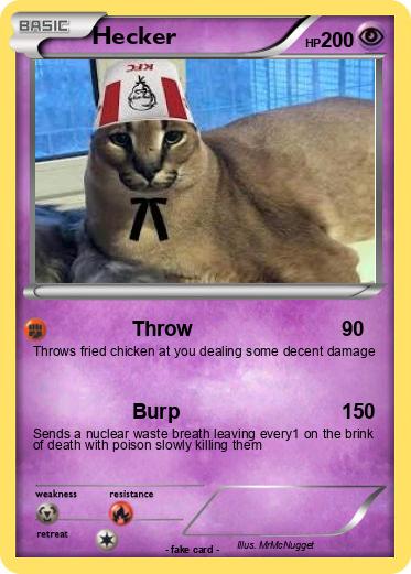 Pokemon Hecker