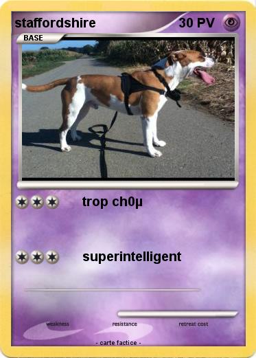 Pokemon staffordshire