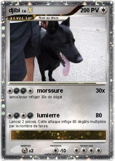 Pokemon djibi