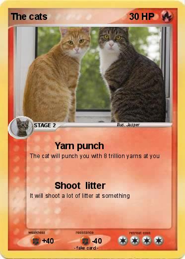 Pokemon The cats