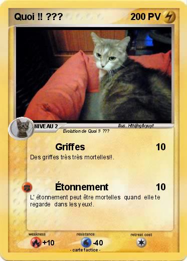 Pokemon Quoi !! ???