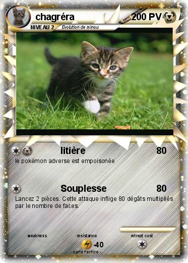 Pokemon chagréra