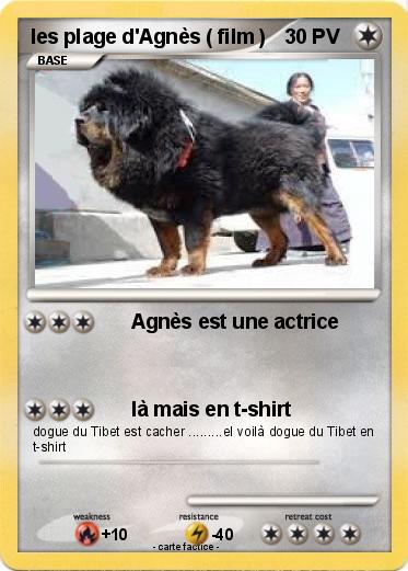 Pokemon les plage d'Agnès ( film )