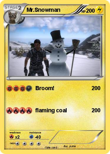 Pokemon Mr.Snowman