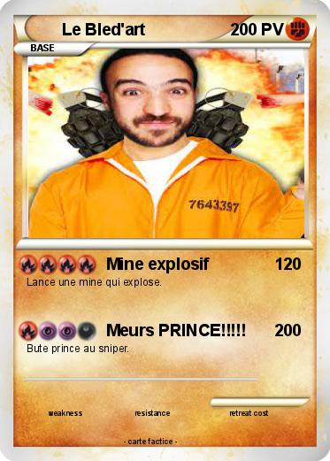 Pokemon Le Bled'art