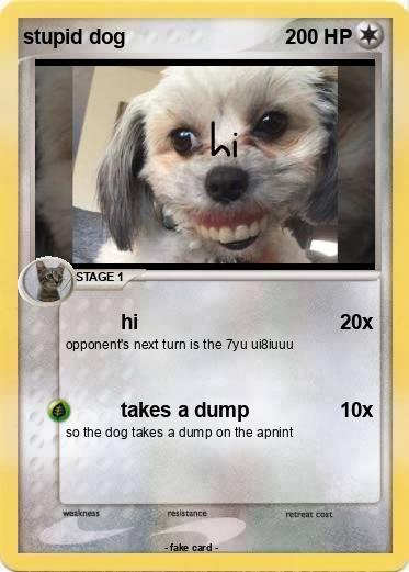 Pokemon stupid dog