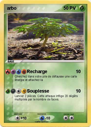 Pokemon arbo