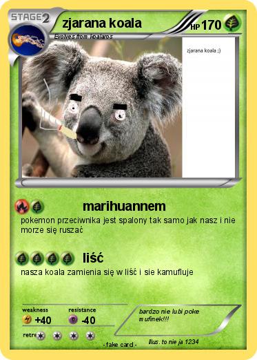 Pokemon zjarana koala