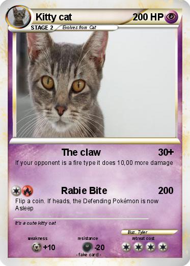 Pokemon Kitty cat