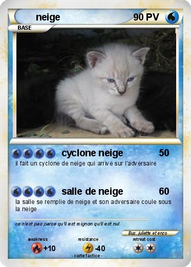 Pokemon neige