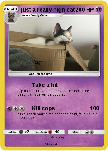 Pokemon just a really high cat