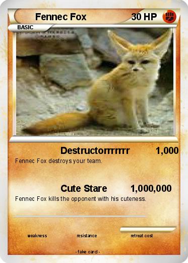 Pokemon Fennec Fox