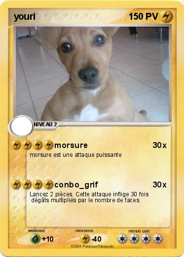 Pokemon youri