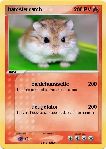 Pokemon hamstercatch