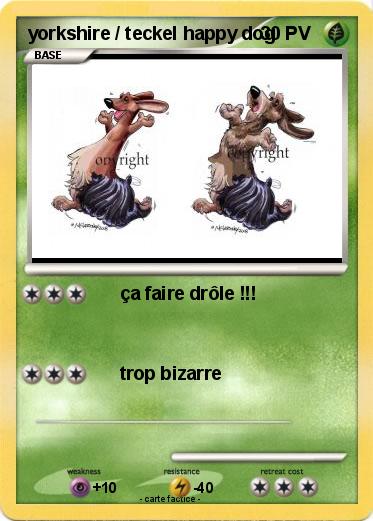 Pokemon yorkshire / teckel happy dog