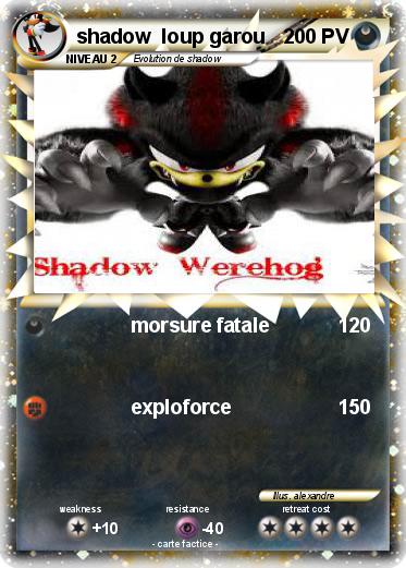 Pokemon shadow  loup garou
