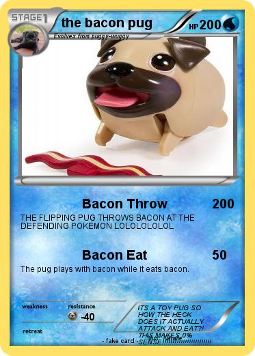 Pokemon the bacon pug