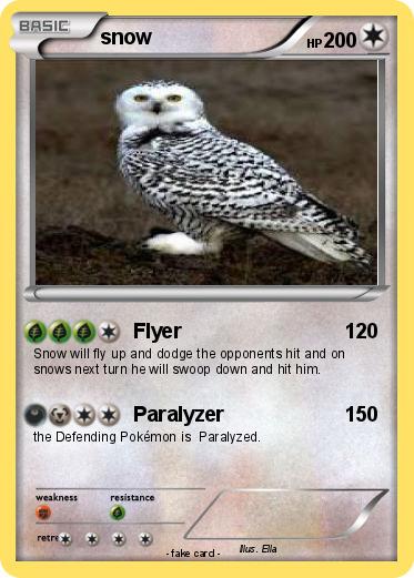 Pokemon snow