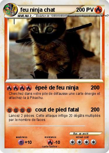 Pokemon feu ninja chat
