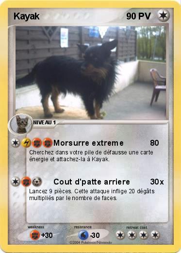 Pokemon Kayak