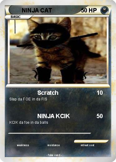 Pokemon NINJA CAT
